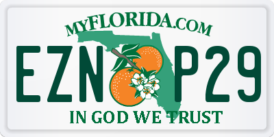 FL license plate EZNP29