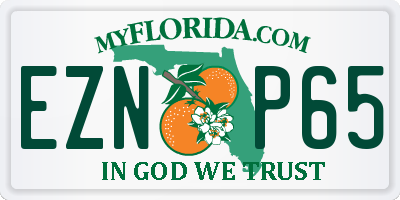 FL license plate EZNP65