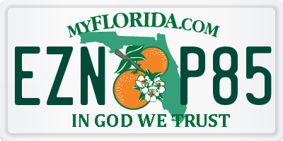 FL license plate EZNP85