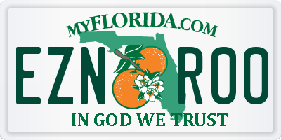 FL license plate EZNR00