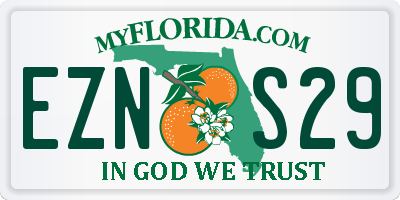 FL license plate EZNS29