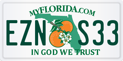 FL license plate EZNS33