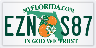 FL license plate EZNS87