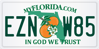 FL license plate EZNW85