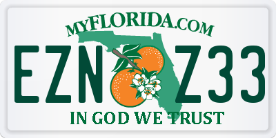 FL license plate EZNZ33