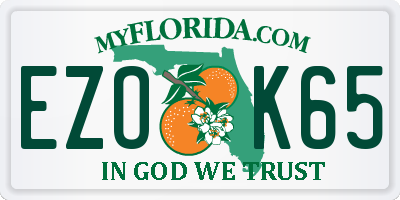 FL license plate EZOK65