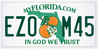 FL license plate EZOM45