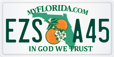 FL license plate EZSA45