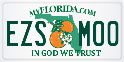 FL license plate EZSM00