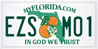 FL license plate EZSM01