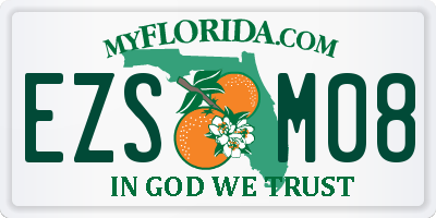 FL license plate EZSM08