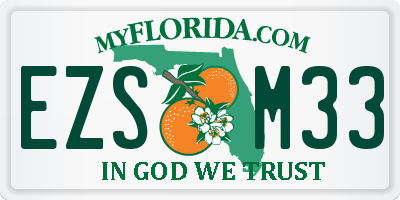 FL license plate EZSM33