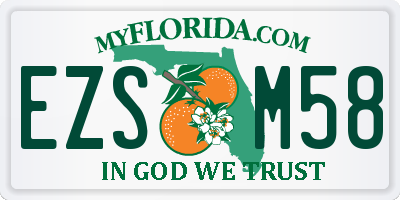 FL license plate EZSM58