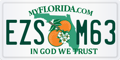 FL license plate EZSM63