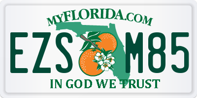 FL license plate EZSM85