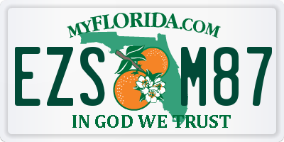 FL license plate EZSM87