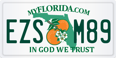 FL license plate EZSM89