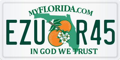 FL license plate EZUR45