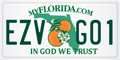 FL license plate EZVG01