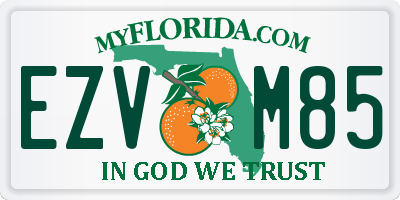 FL license plate EZVM85