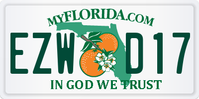 FL license plate EZWD17