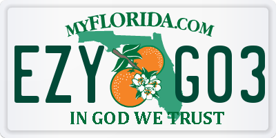 FL license plate EZYG03