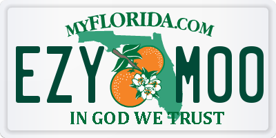 FL license plate EZYM00