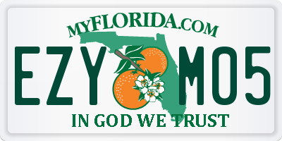 FL license plate EZYM05