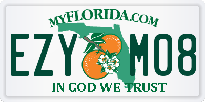 FL license plate EZYM08