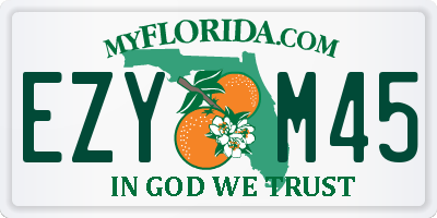 FL license plate EZYM45