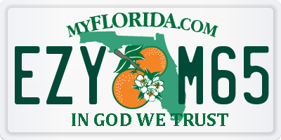 FL license plate EZYM65