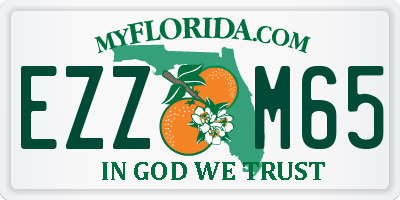 FL license plate EZZM65