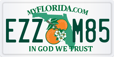 FL license plate EZZM85