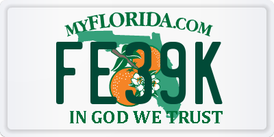 FL license plate FE39K
