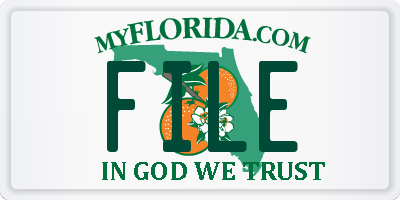 FL license plate FILE