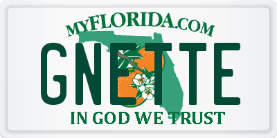 FL license plate GNETTE