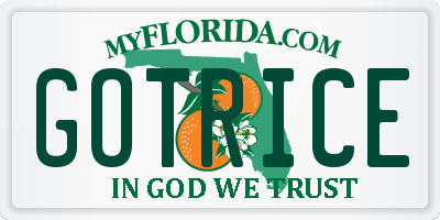 FL license plate GOTRICE