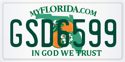 FL license plate GSD6599