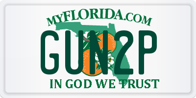 FL license plate GUN2P