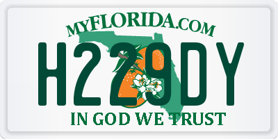 FL license plate H229DY