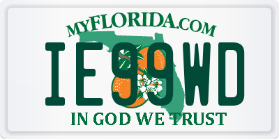 FL license plate IE99WD