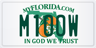 FL license plate M100W