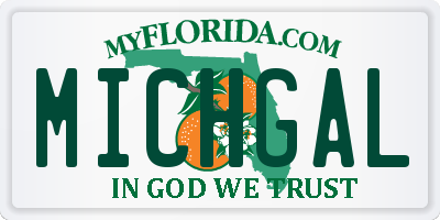 FL license plate MICHGAL