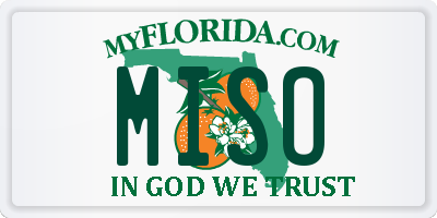 FL license plate MISO