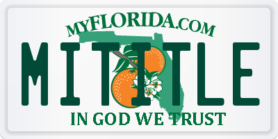 FL license plate MITITLE