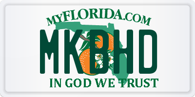 FL license plate MKBHD