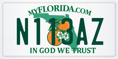 FL license plate N113AZ