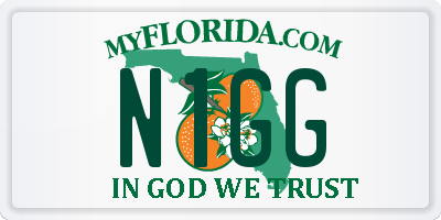 FL license plate N1GG