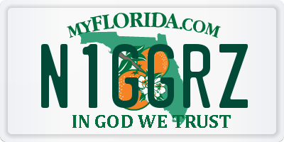 FL license plate N1GGRZ