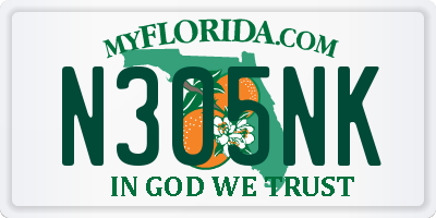 FL license plate N305NK